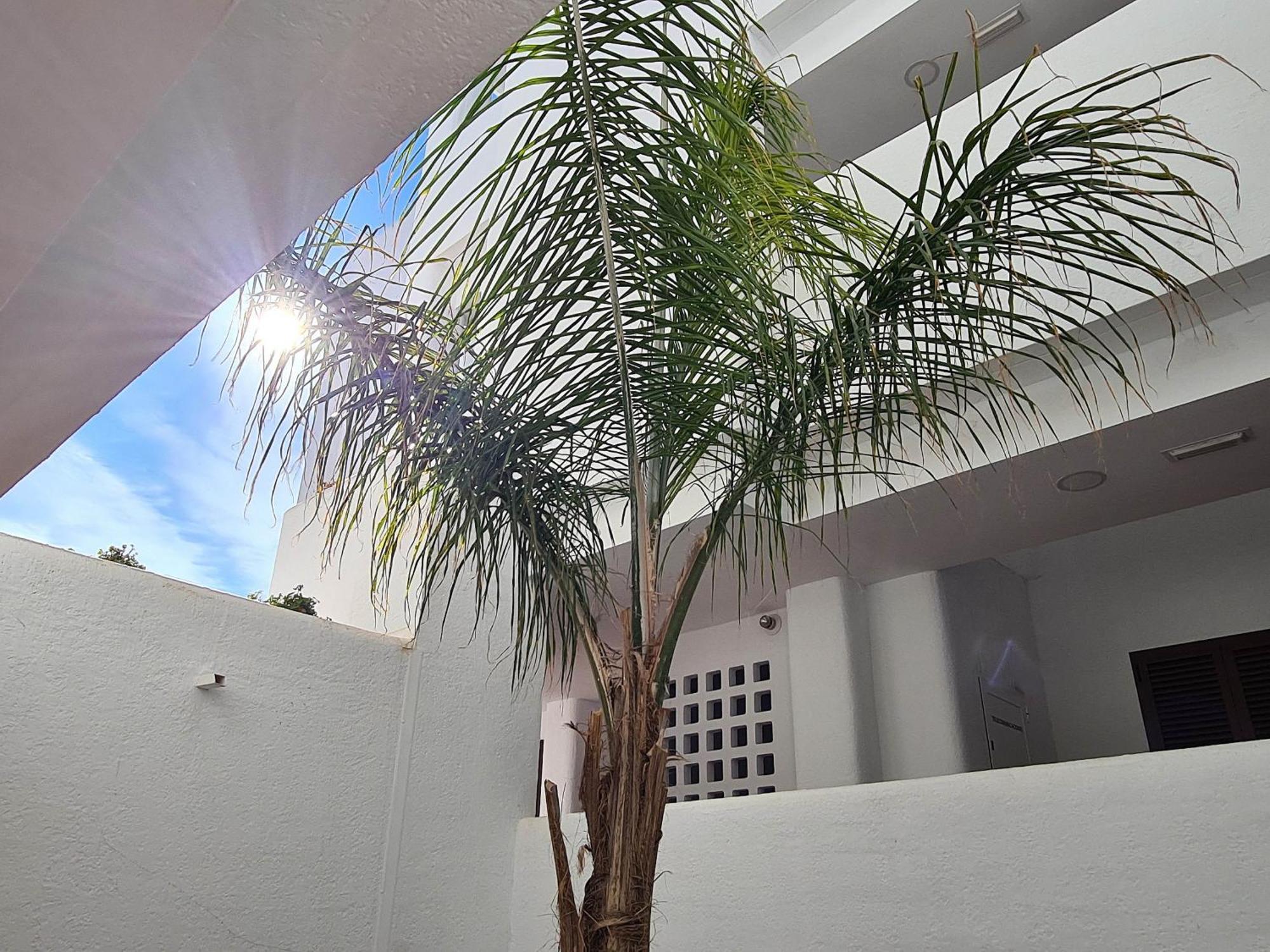 Ferienwohnung El Sueno San Juan de los Terreros Exterior foto